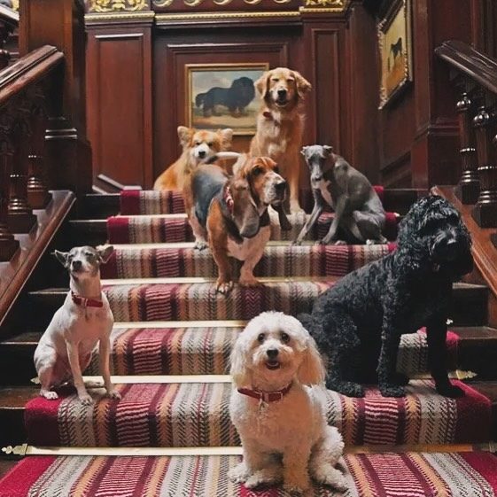 The Connaught